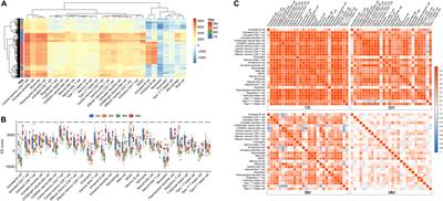 Application of Immune Infiltration Signature and Machine Learning Model in the Differential Diagnosis and Prognosis of Bone-Related Malignancies